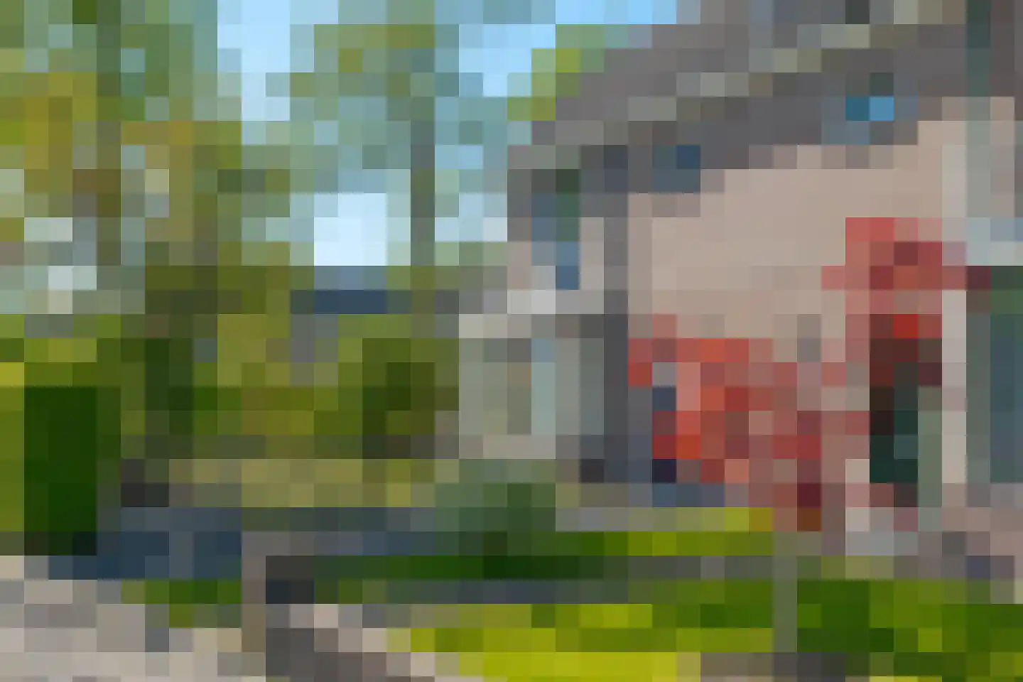 Bakkerstraat 15 Roden thumbnail 8