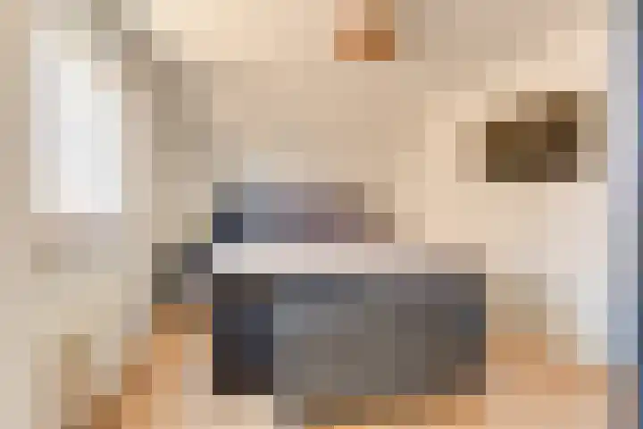 Bakkerstraat 16 Bovenkarspel thumbnail 31
