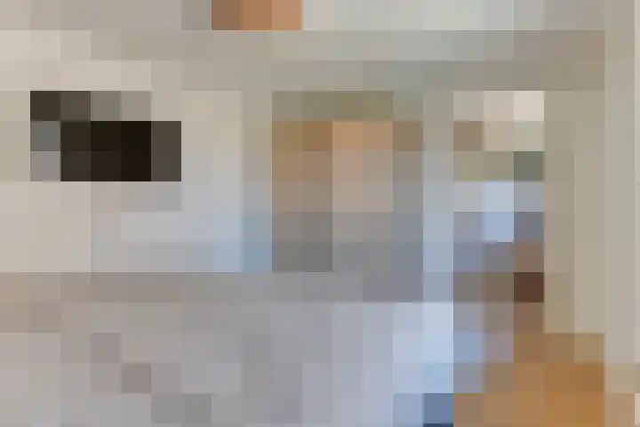 Bakkerstraat 16 Bovenkarspel thumbnail 32
