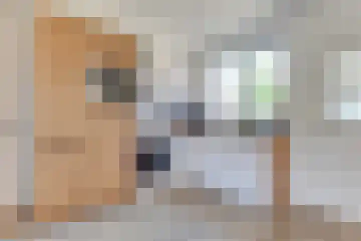 Bakkerstraat 16 Bovenkarspel thumbnail 4