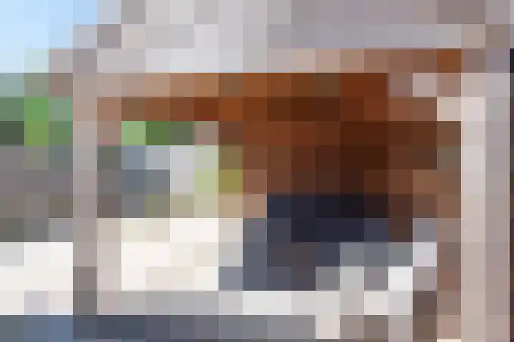 Bakkerstraat 16 Bovenkarspel thumbnail 47