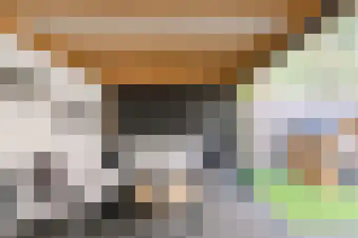 Bakkerstraat 16 Oosterhout thumbnail 37
