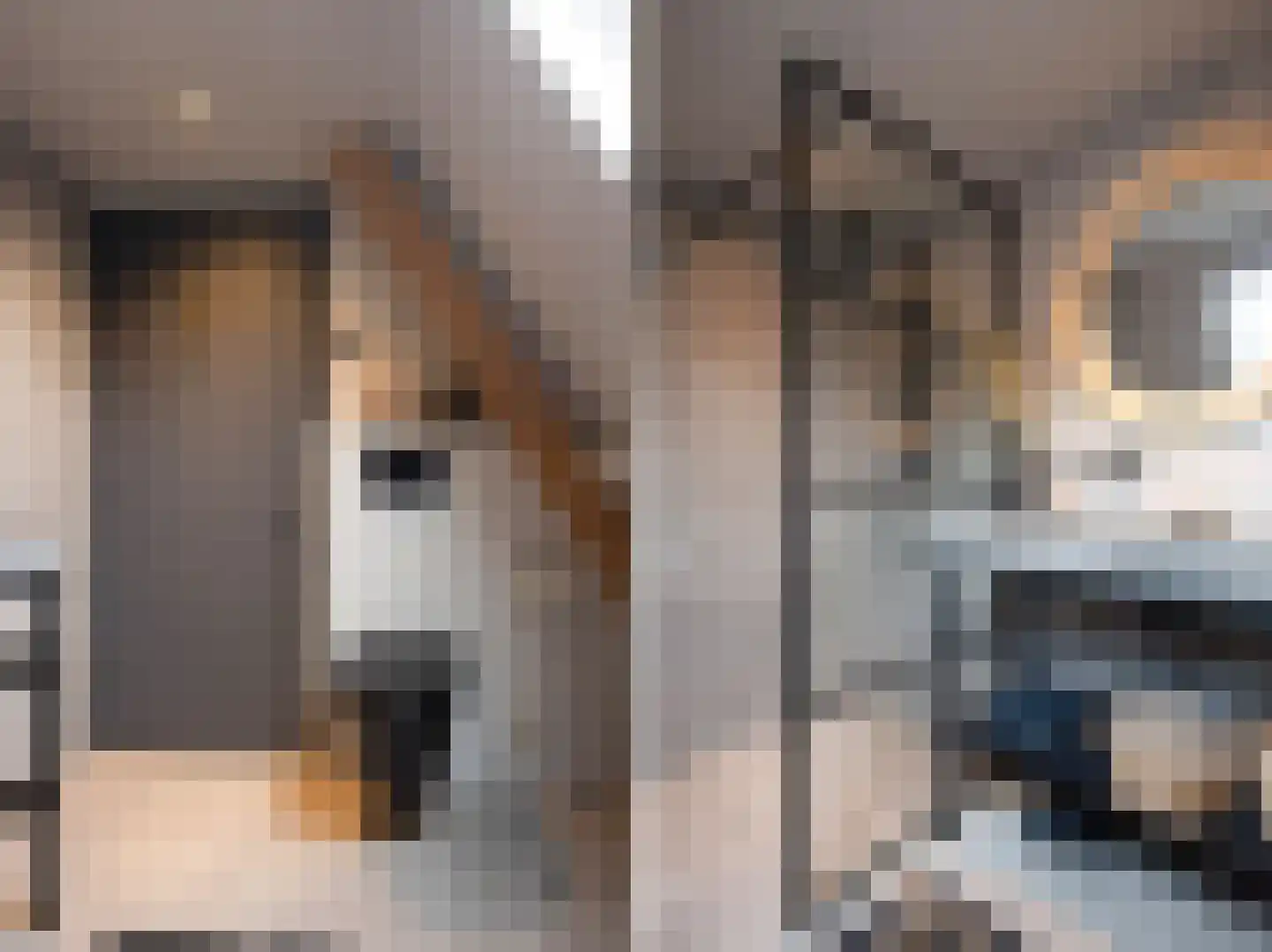 Bakkerstraat 16 Putten thumbnail 18
