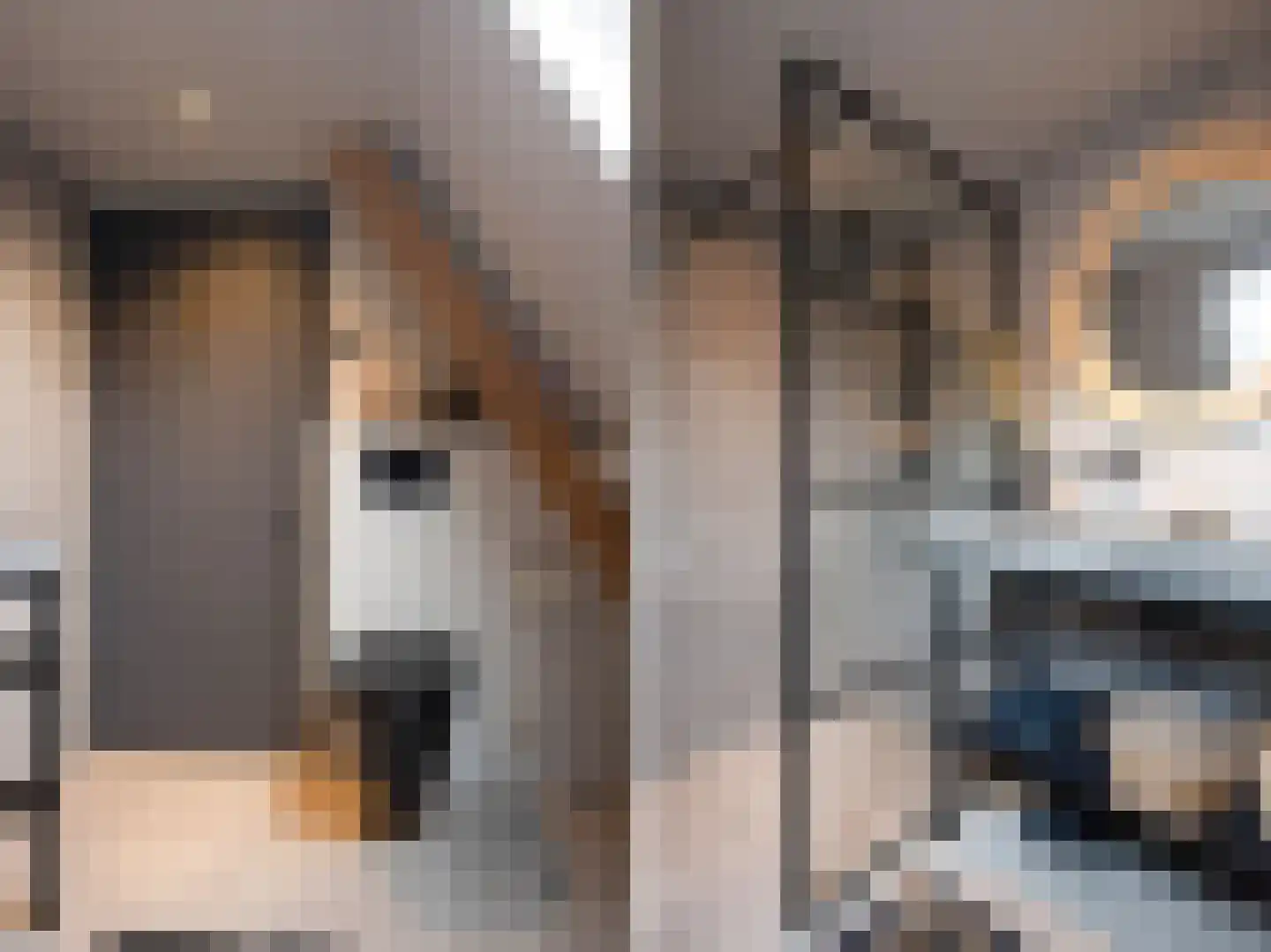 Bakkerstraat 16 Putten thumbnail 18