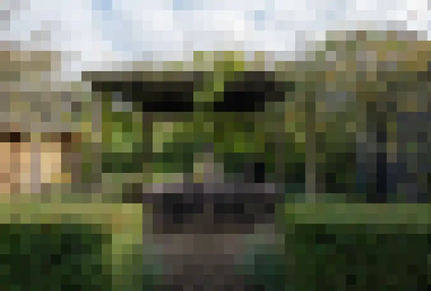 Bakkerstraat 16 Putten thumbnail 27