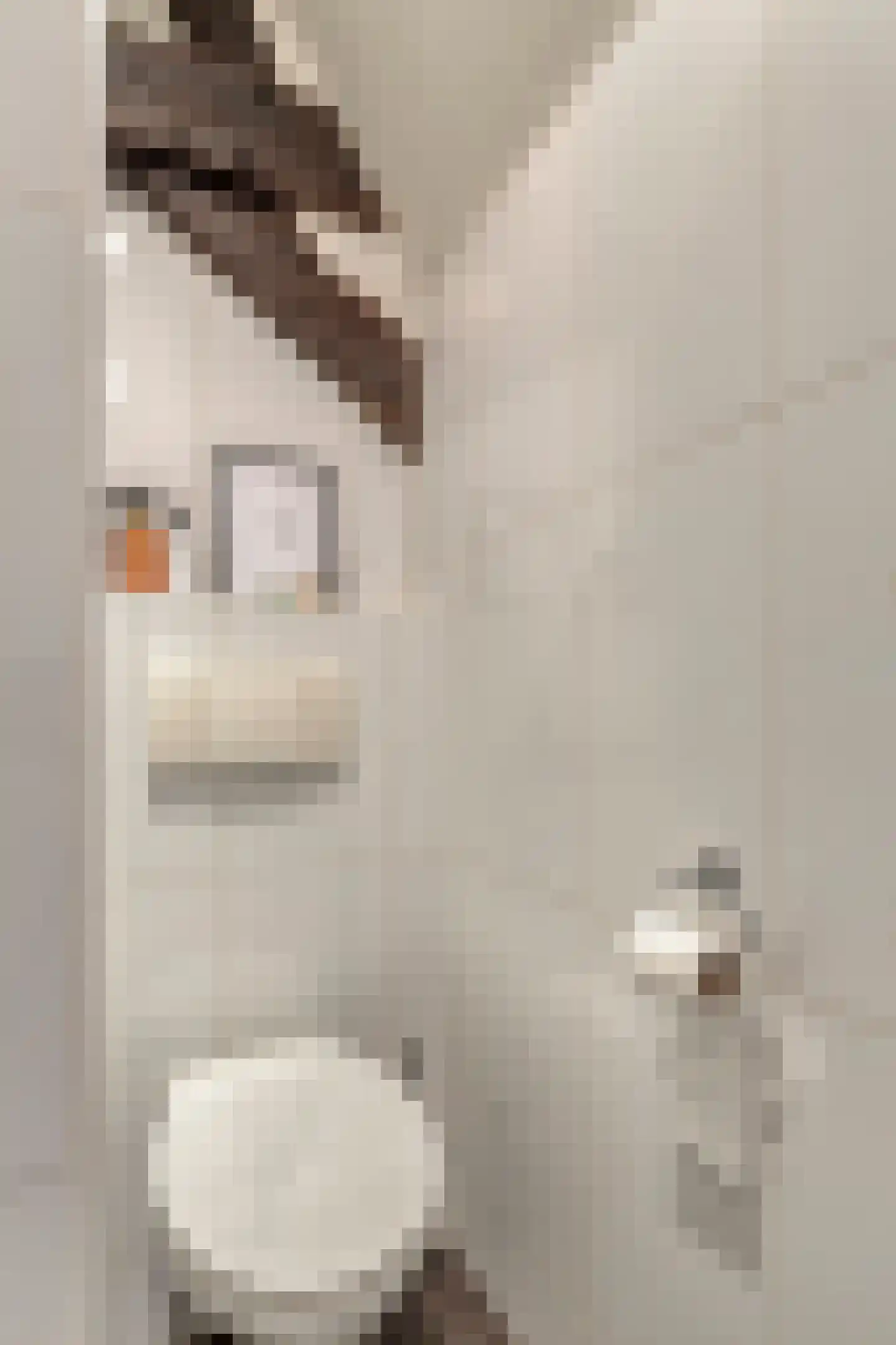 Bakkerstraat 2 B Roermond thumbnail 29