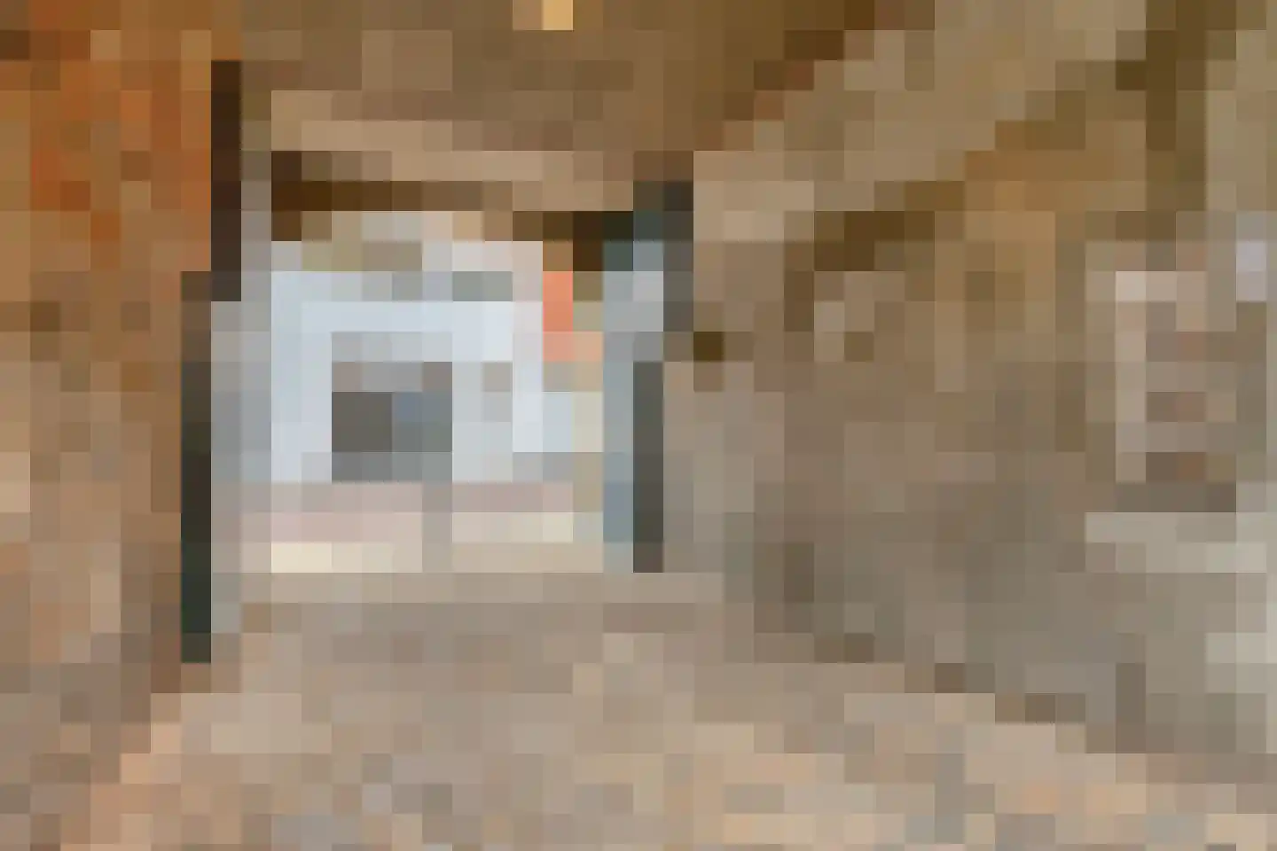 Bakkerstraat 2 B Roermond thumbnail 6