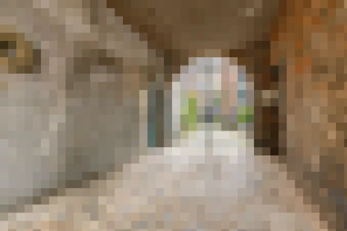 Bakkerstraat 2 B Roermond thumbnail 7