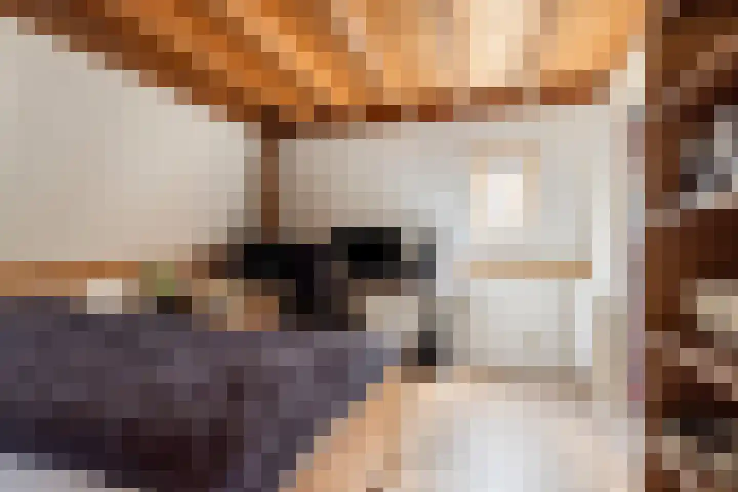 Bakkerstraat 2 E Roermond thumbnail 23