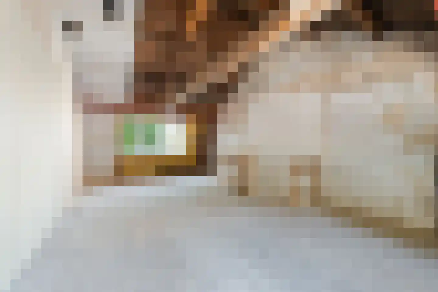Bakkerstraat 24 Haarlem thumbnail 11