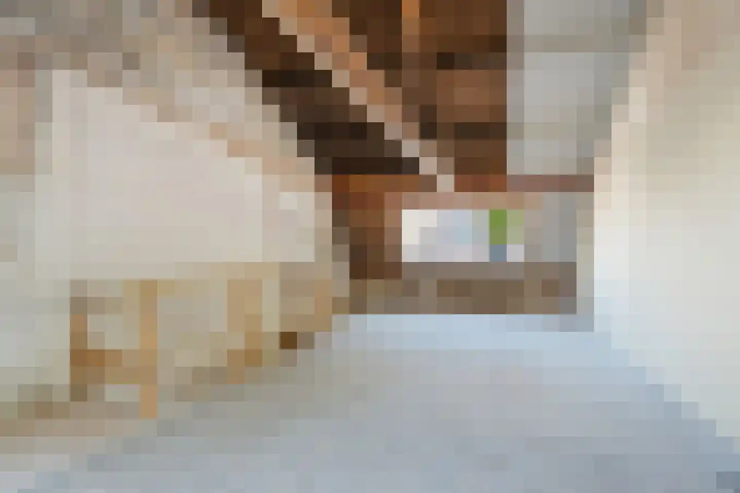 Bakkerstraat 24 Haarlem thumbnail 13