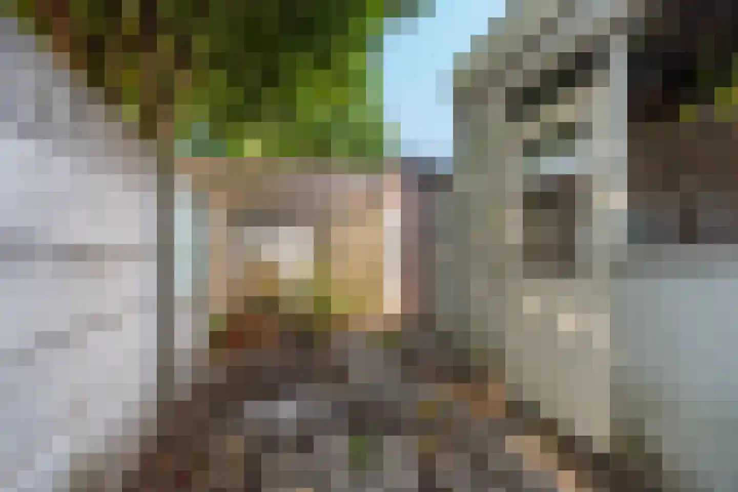 Bakkerstraat 24 Haarlem thumbnail 4