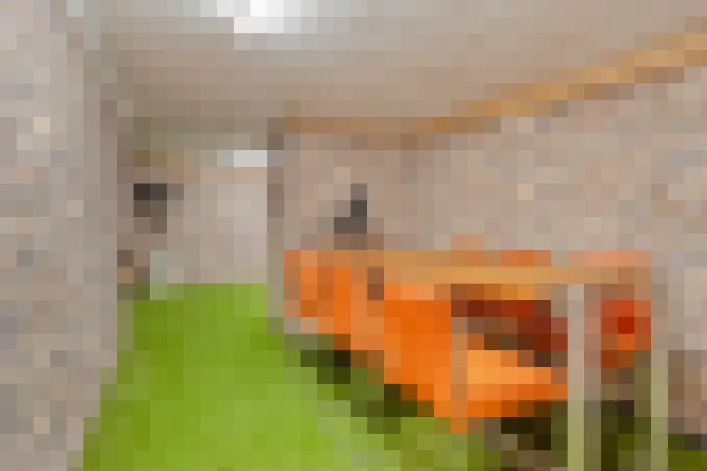 Bakkerstraat 25 Roermond thumbnail 29