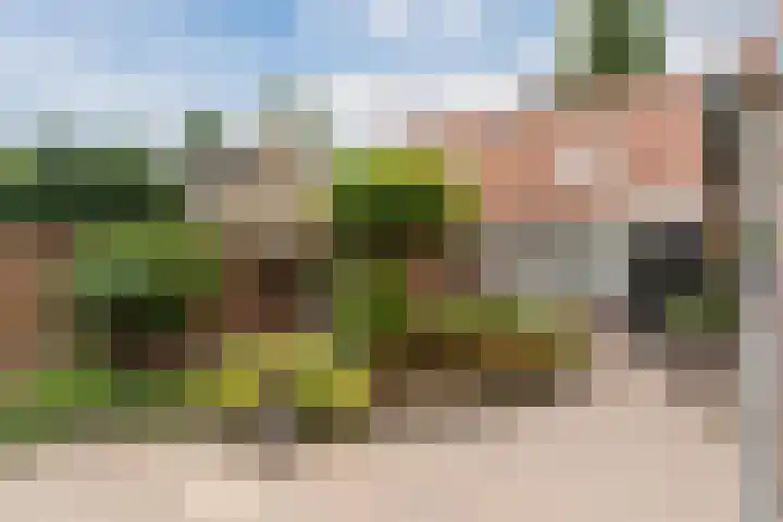 Bakkerstraat 26 Reusel thumbnail 45