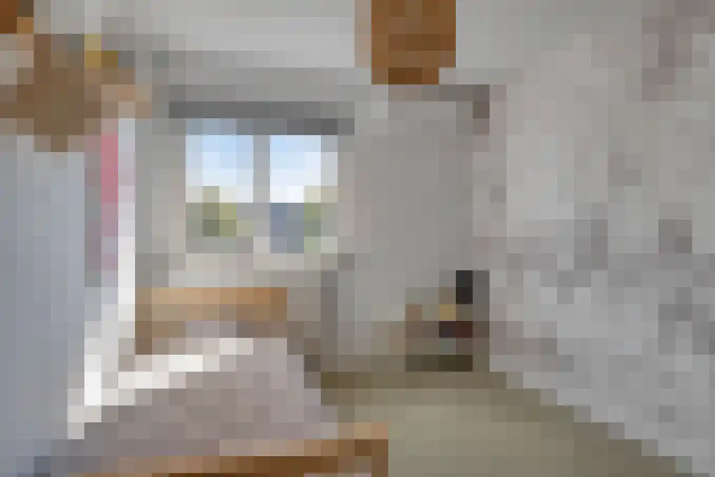 Bakkerstraat 27 Valkenswaard thumbnail 16