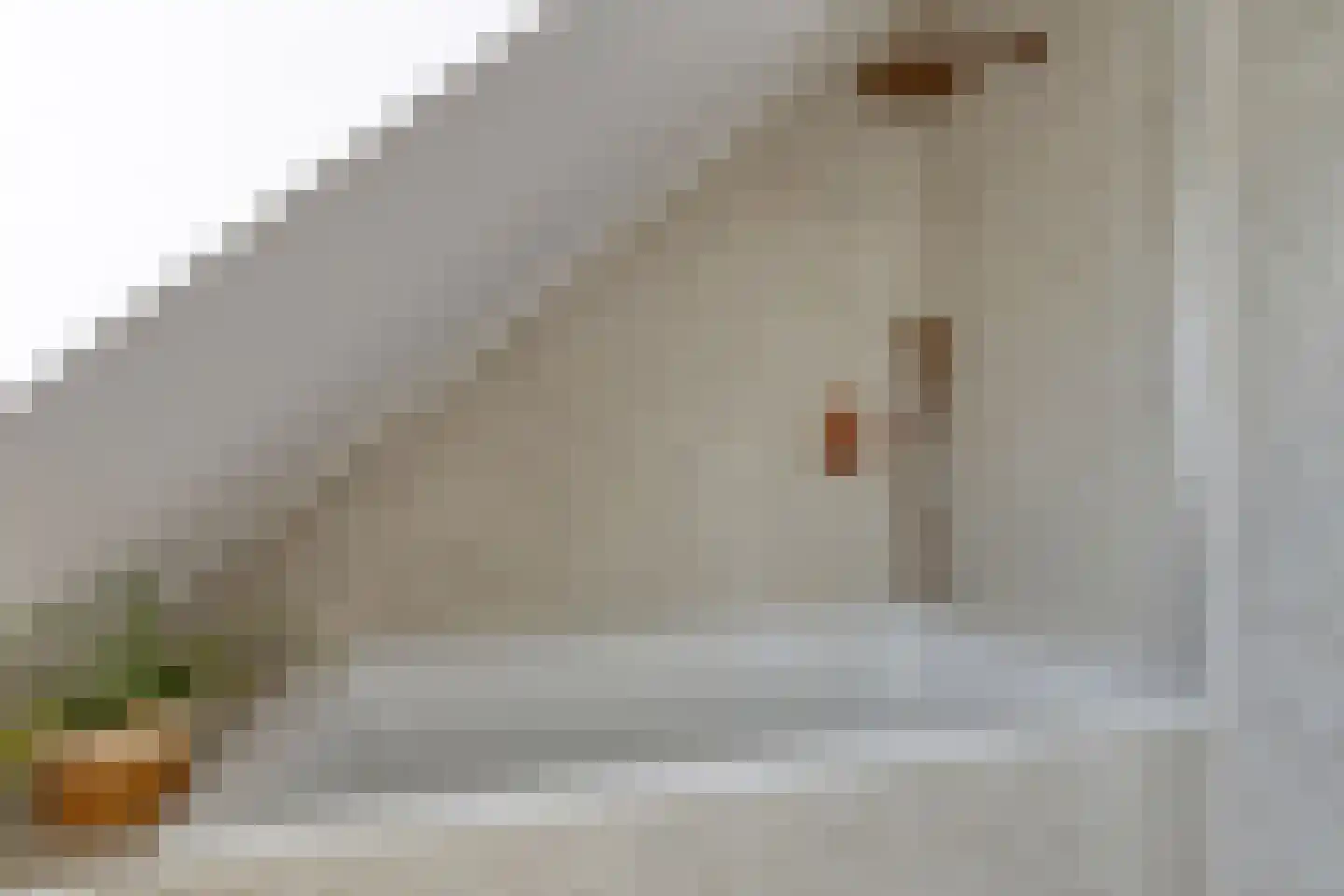 Bakkerstraat 27 Valkenswaard thumbnail 21