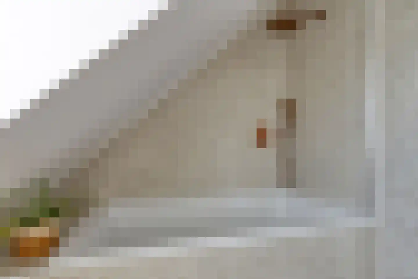 Bakkerstraat 27 Valkenswaard thumbnail 21
