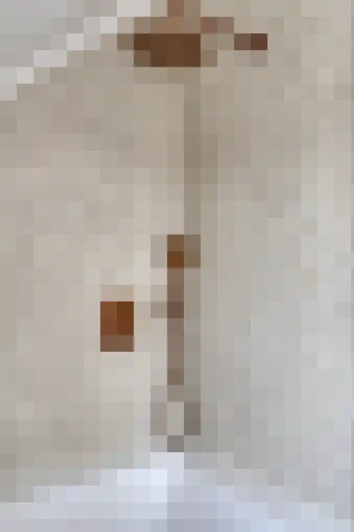 Bakkerstraat 27 Valkenswaard thumbnail 23