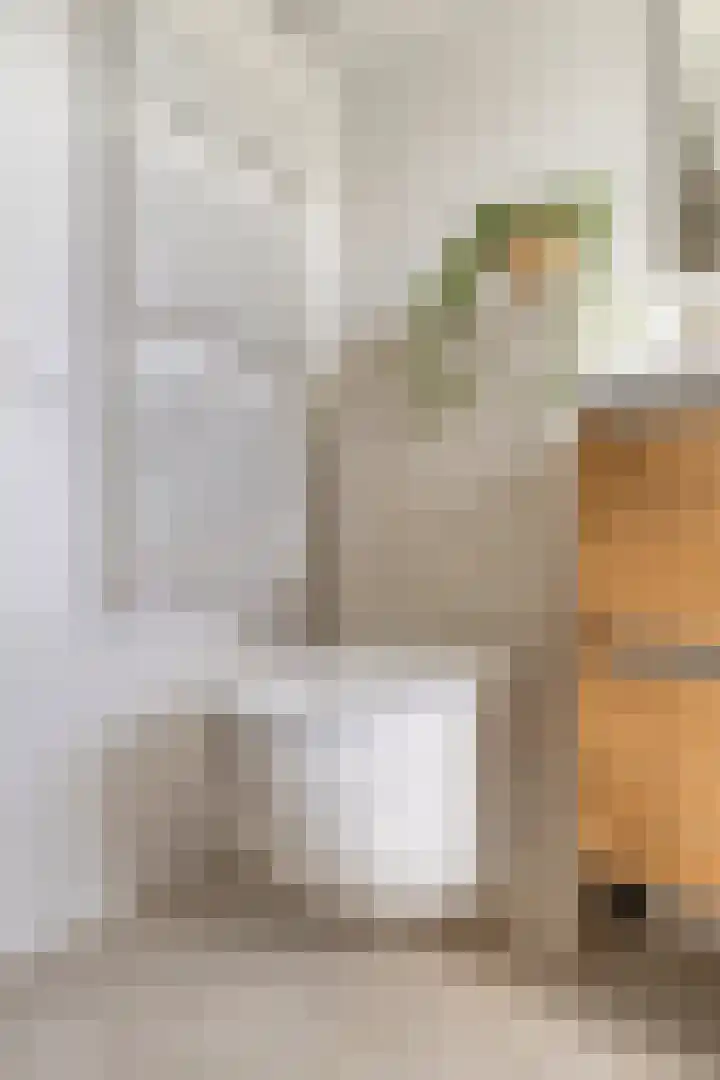 Bakkerstraat 27 Valkenswaard thumbnail 24