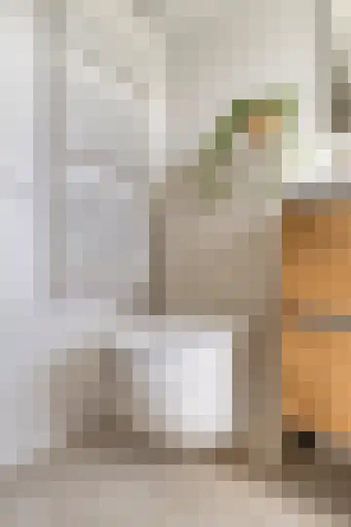 Bakkerstraat 27 Valkenswaard thumbnail 24
