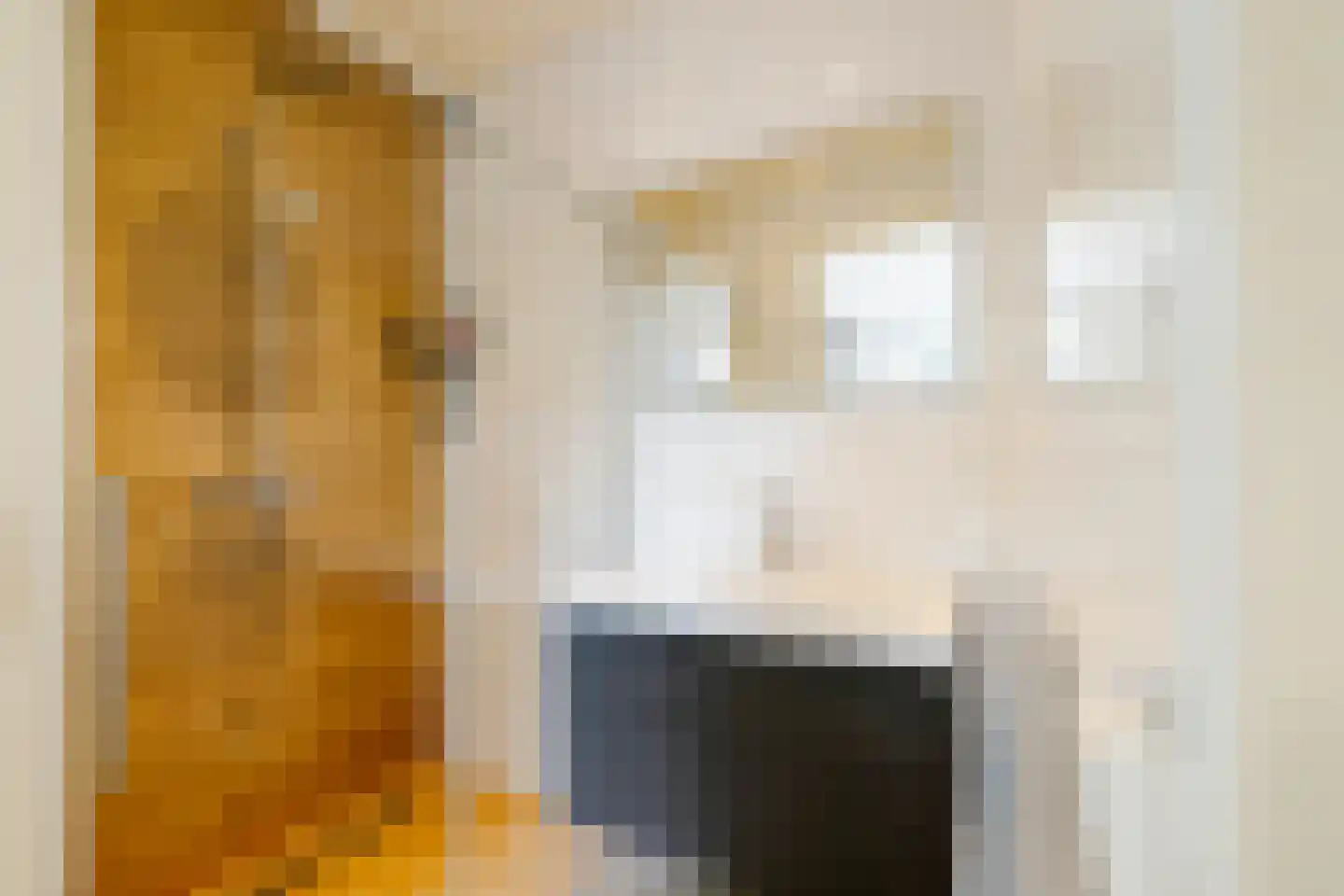 Bakkerstraat 28 A 1 Haarlem thumbnail 31