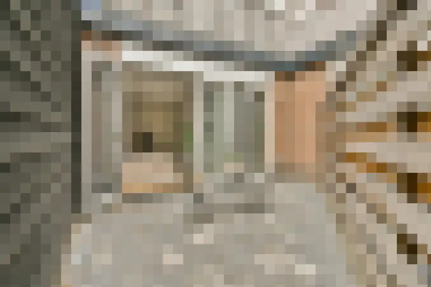 Bakkerstraat 28 A 2 Haarlem thumbnail 13