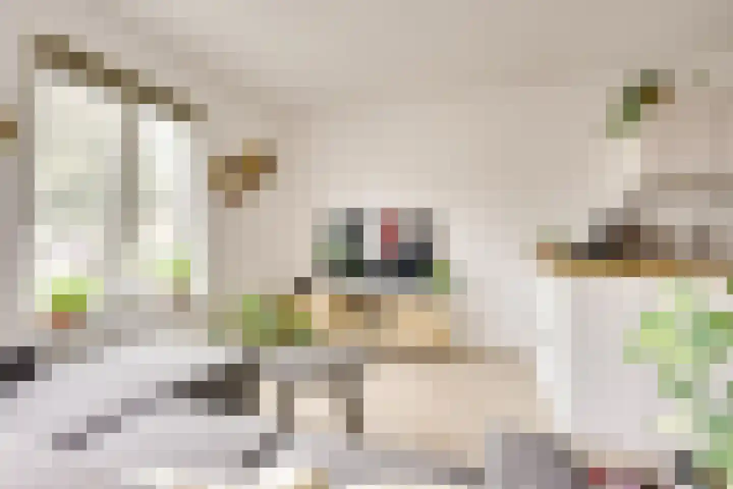 Bakkerstraat 3 a Vianen thumbnail 10
