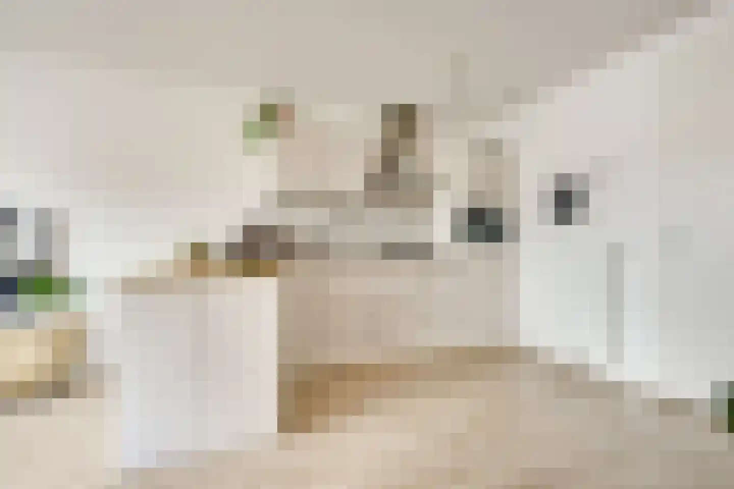 Bakkerstraat 3 a Vianen thumbnail 15