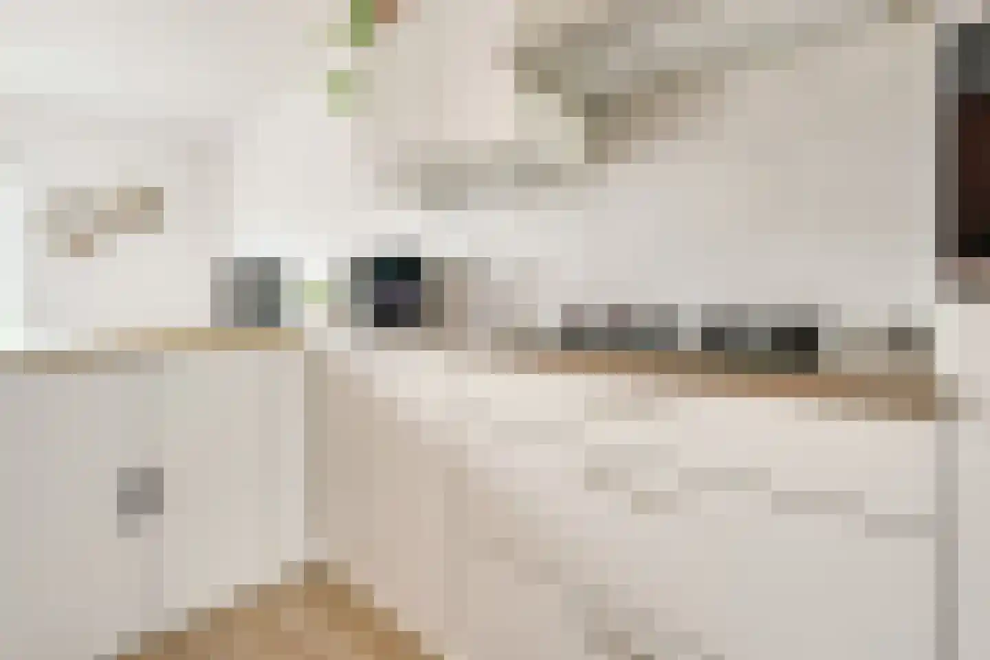Bakkerstraat 3 a Vianen thumbnail 17
