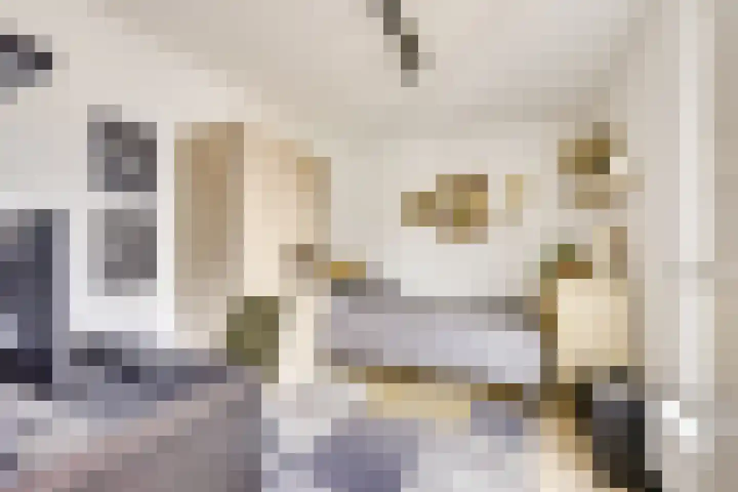 Bakkerstraat 3 a Vianen thumbnail 19