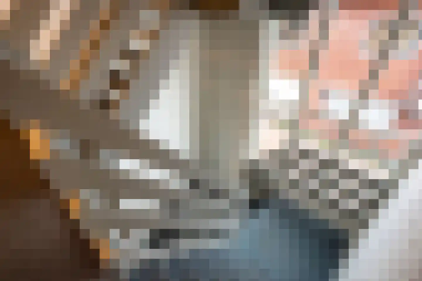 Bakkerstraat 3 a Vianen thumbnail 34