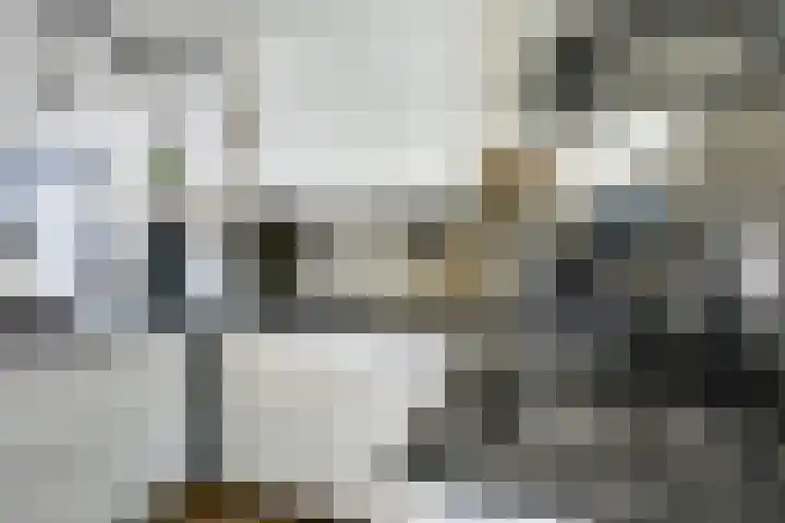 Bakkerstraat 3 b Vianen thumbnail 10