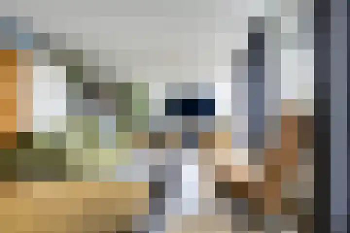 Bakkerstraat 3 b Vianen thumbnail 20