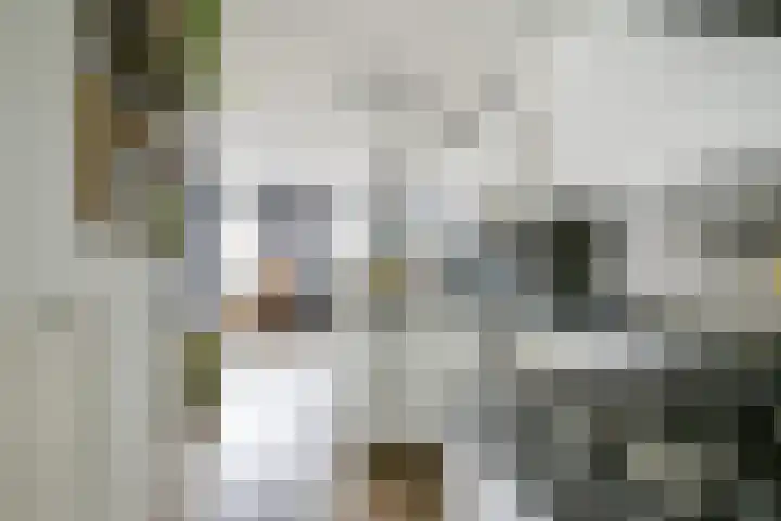 Bakkerstraat 3 b Vianen thumbnail 9