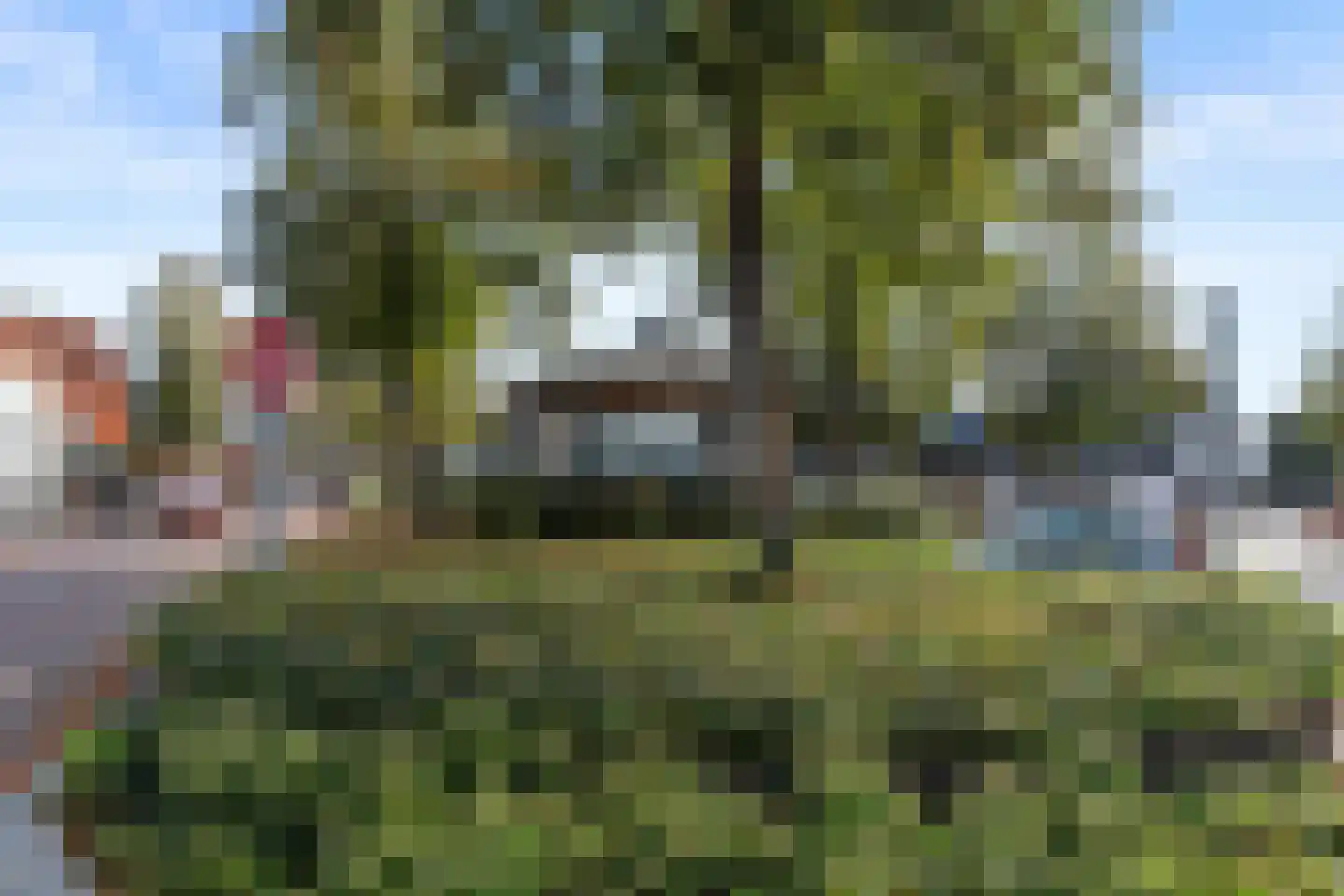 Bakkerstraat 3 Bennekom thumbnail 10