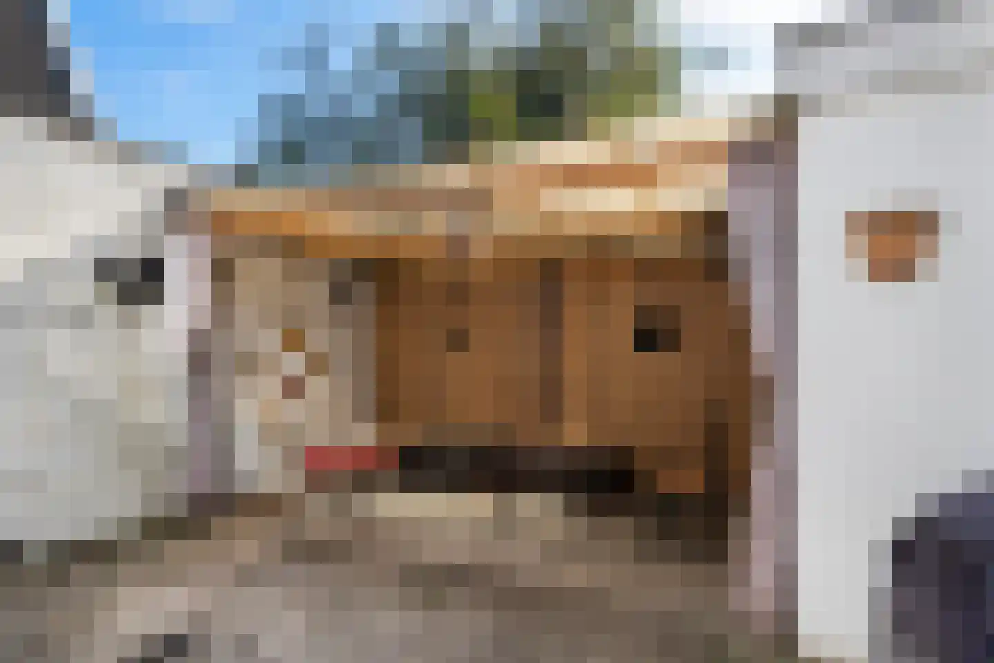 Bakkerstraat 3 Bennekom thumbnail 16