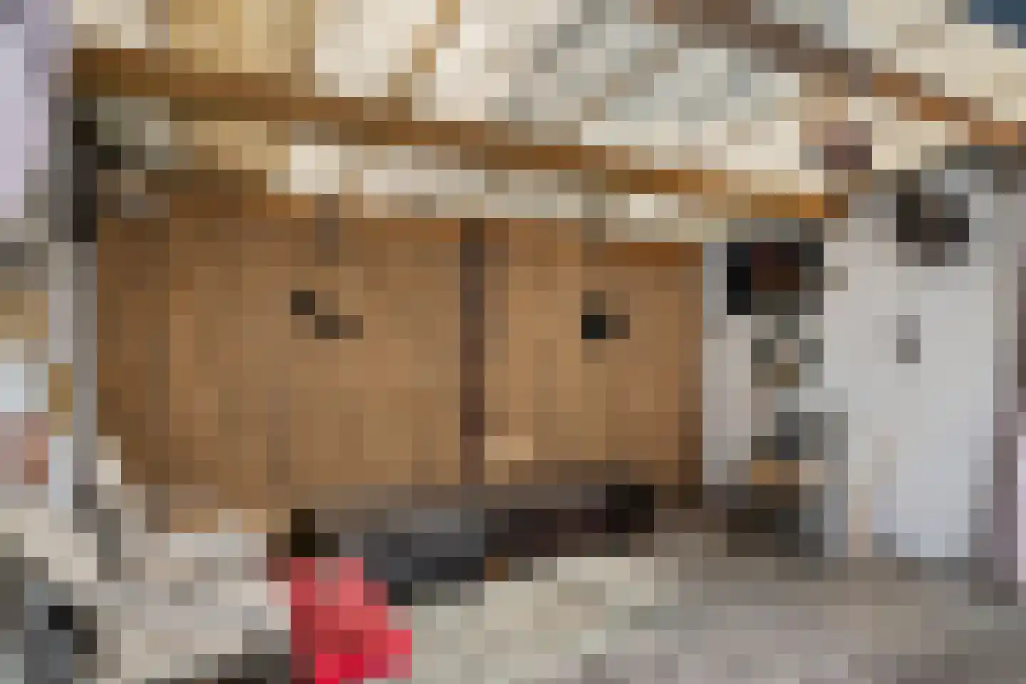 Bakkerstraat 3 Bennekom thumbnail 17