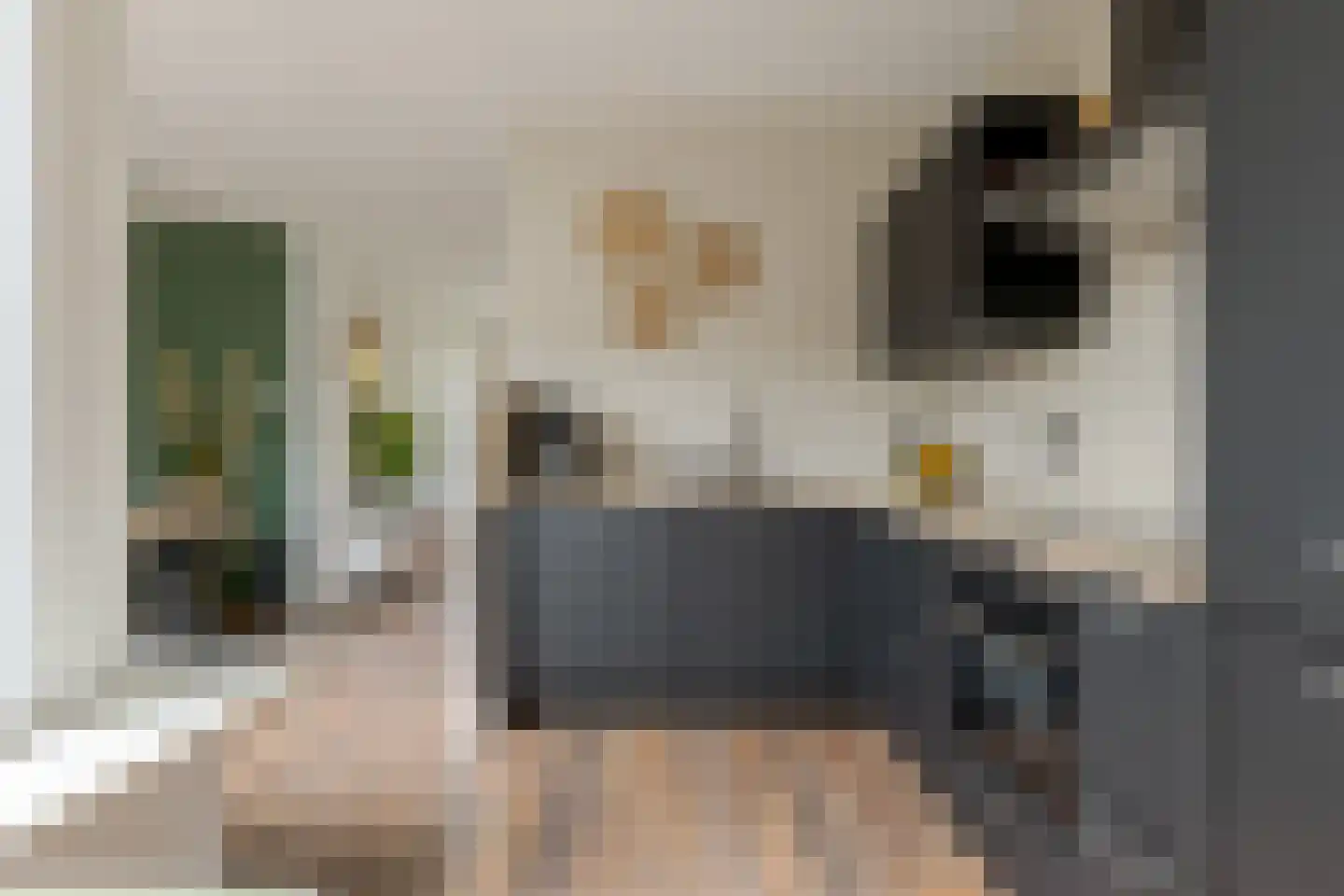 Bakkerstraat 30 Roden thumbnail 25