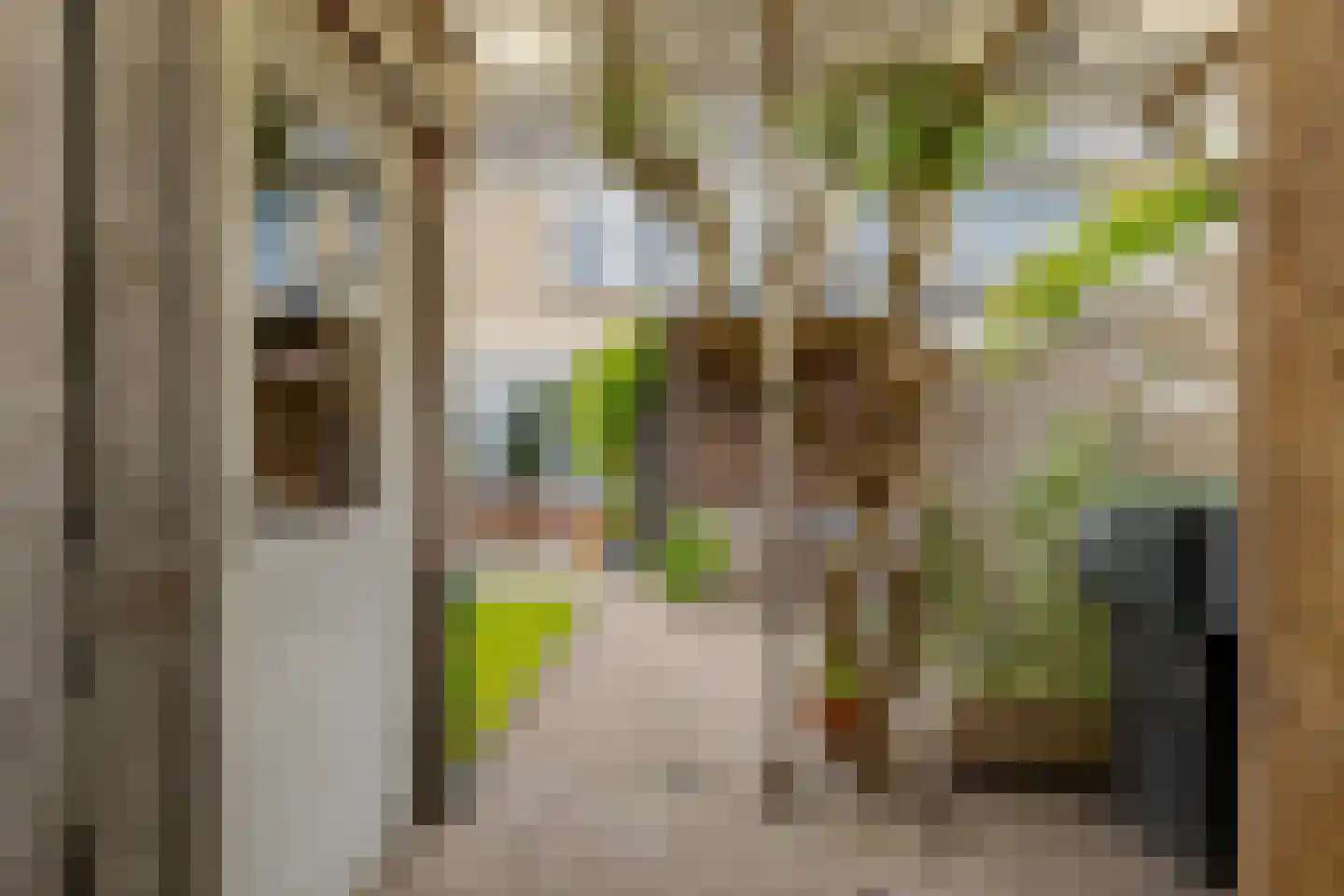 Bakkerstraat 30 Roden thumbnail 35
