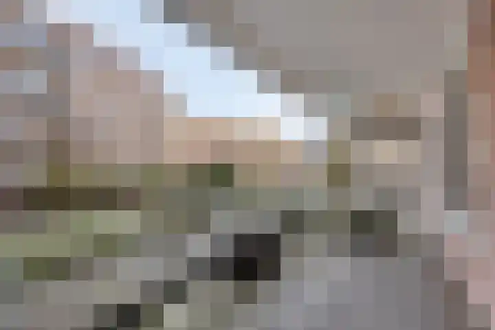 Bakkerstraat 30 Valkenswaard thumbnail 5