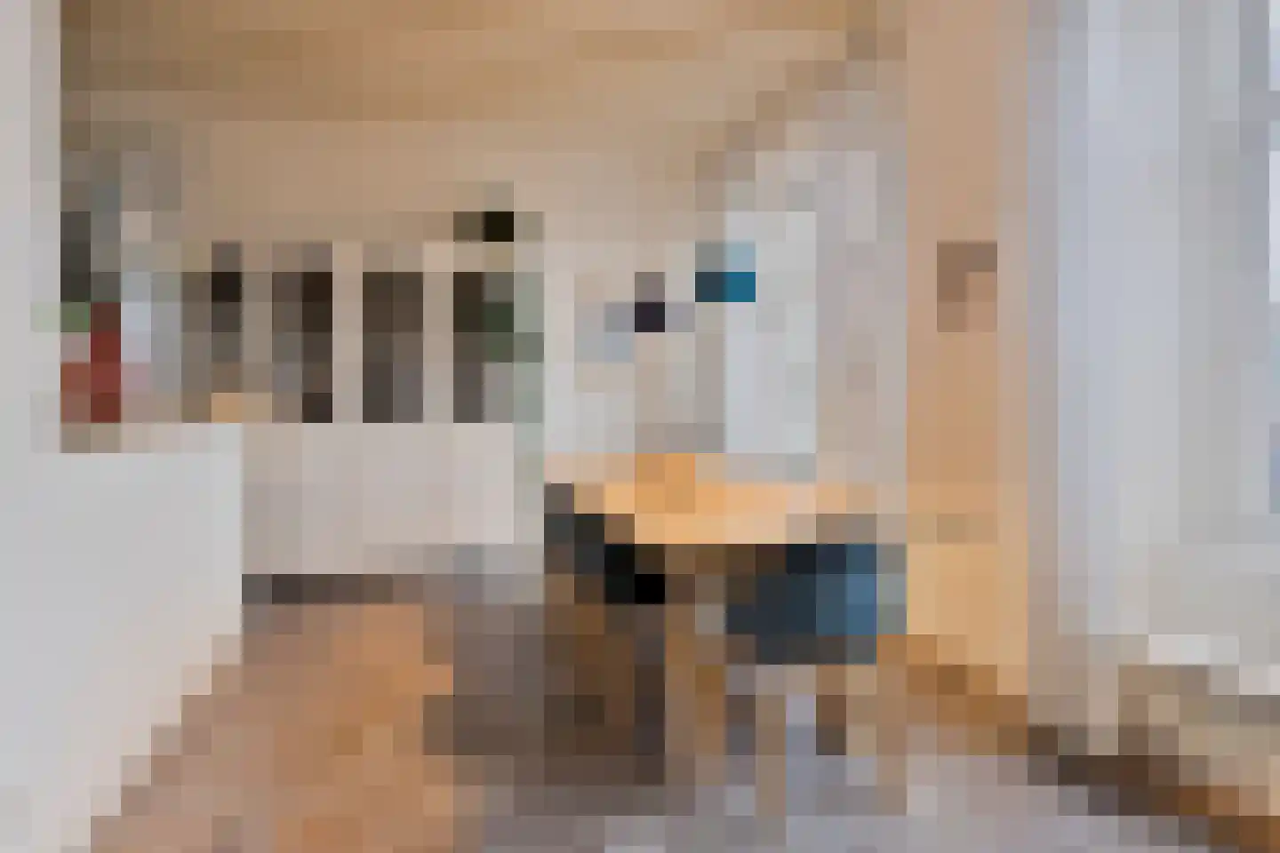 Bakkerstraat 36 Zetten thumbnail 26