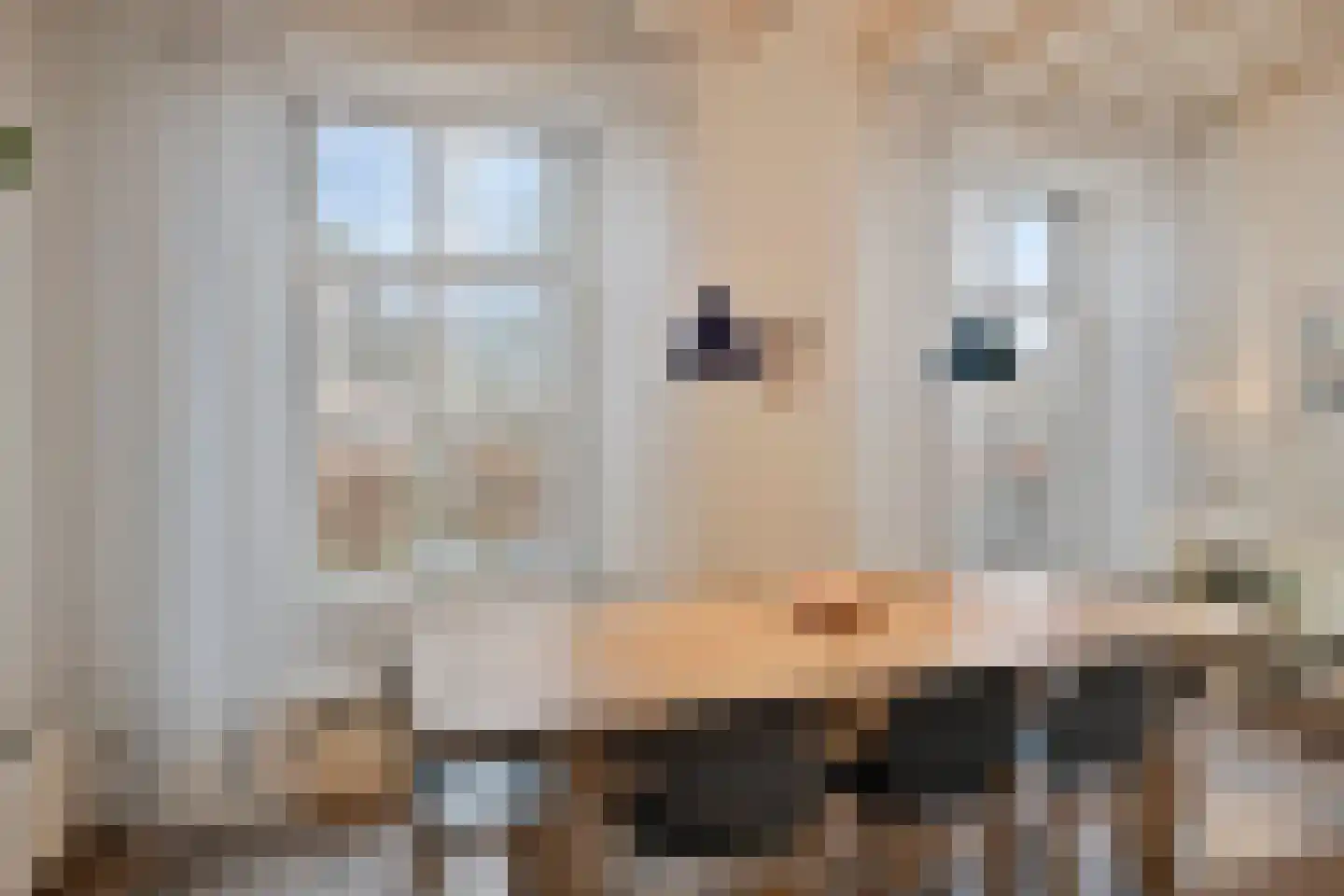 Bakkerstraat 36 Zetten thumbnail 29