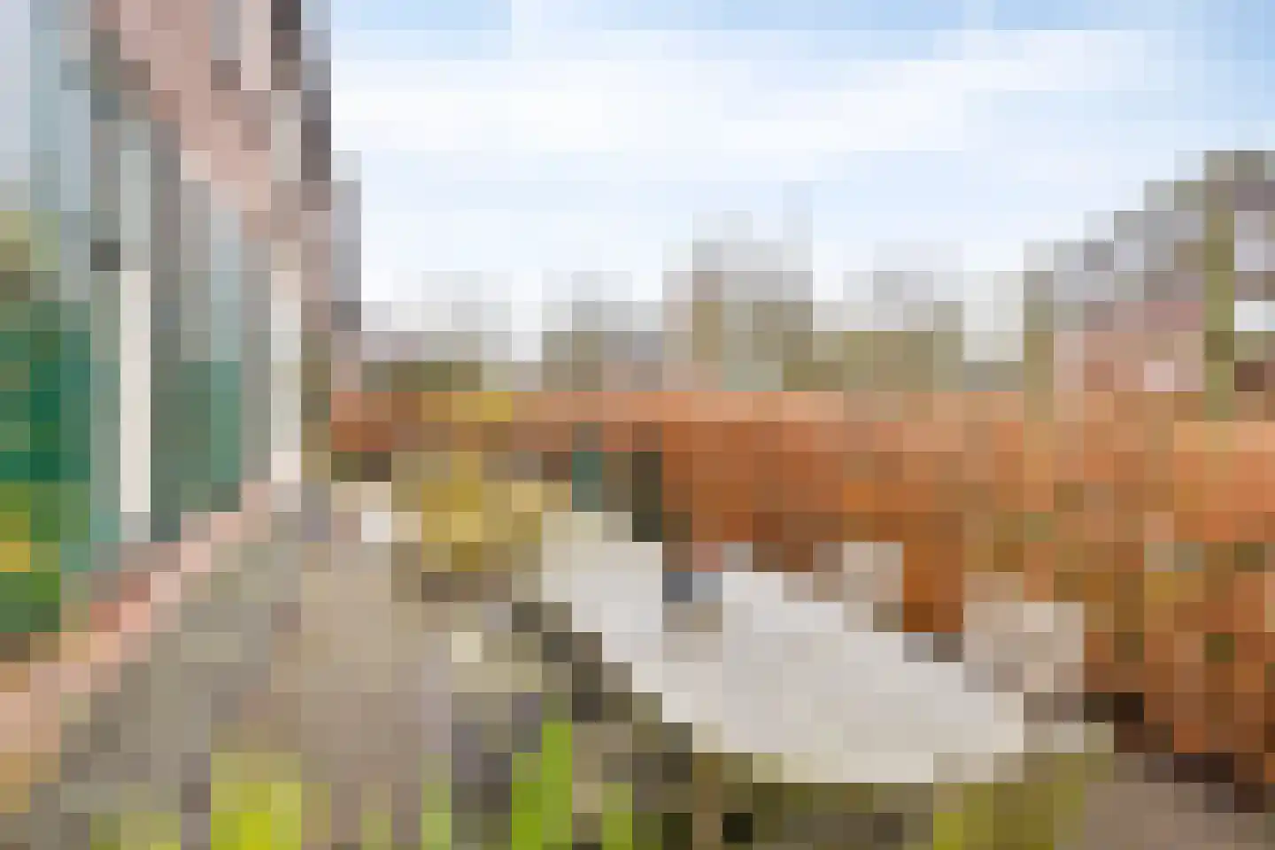 Bakkerstraat 36 Zetten thumbnail 4