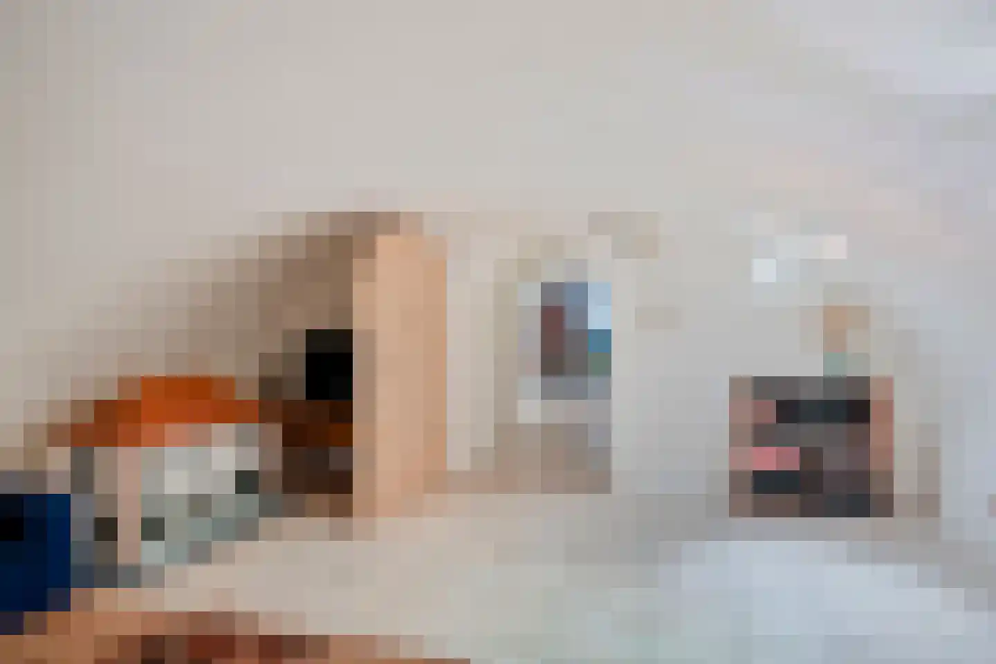 Bakkerstraat 36 Zetten thumbnail 65