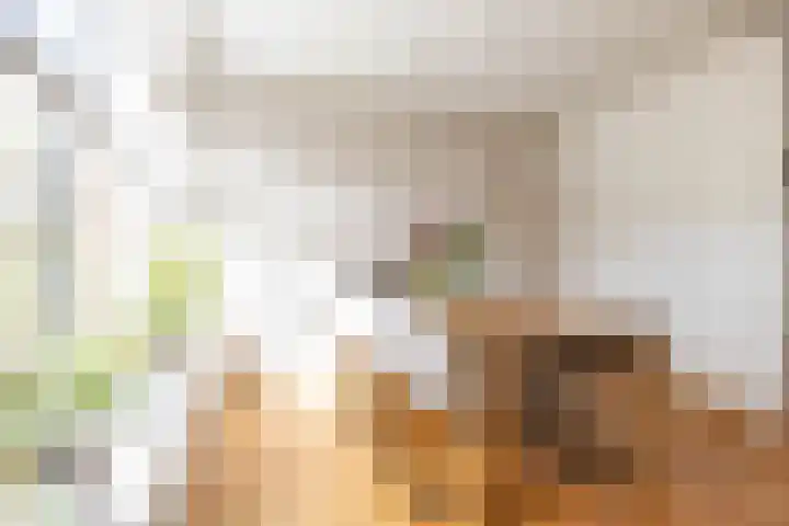Bakkerstraat 38 Roden thumbnail 16