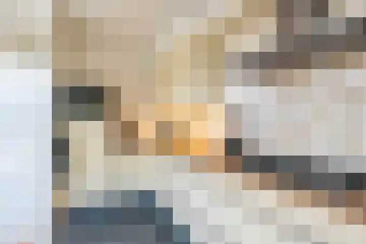 Bakkerstraat 38 Roden thumbnail 21