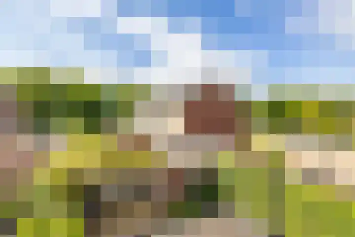 Bakkerstraat 38 Roden thumbnail 31
