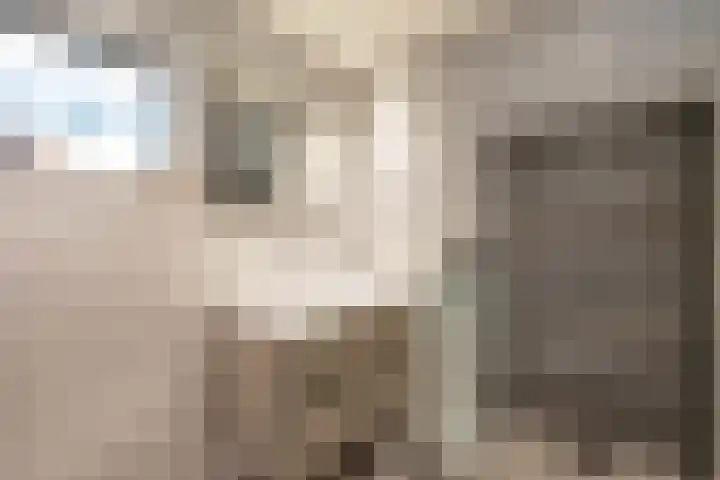 Bakkerstraat 38 Roden thumbnail 36