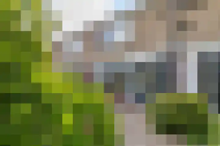 Bakkerstraat 38 Roden thumbnail 4