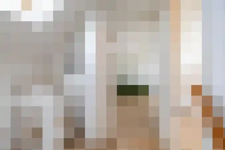Bakkerstraat 38 Roden thumbnail 40